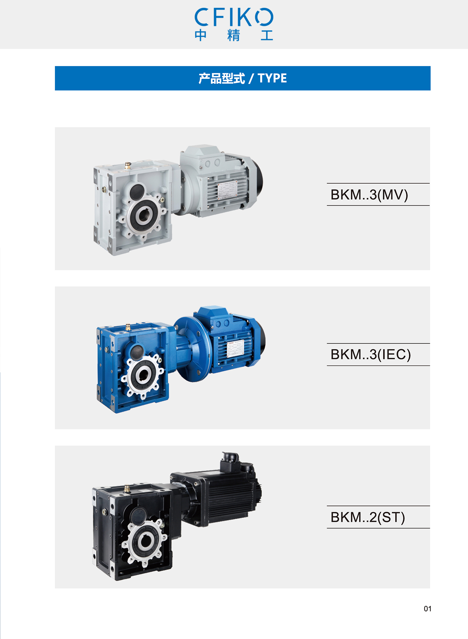 BKM sample - CFIKO_ page _02.jpg